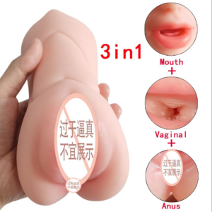 3-in-1 Torso Mold (Mouth + Vagina + Anus)